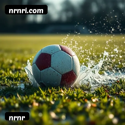 6 vantagens exclusivas do programa VIP da nrnr